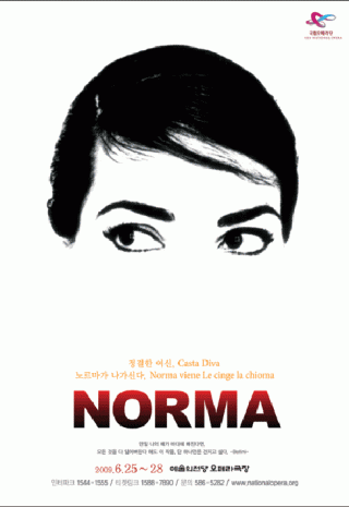 norma500
